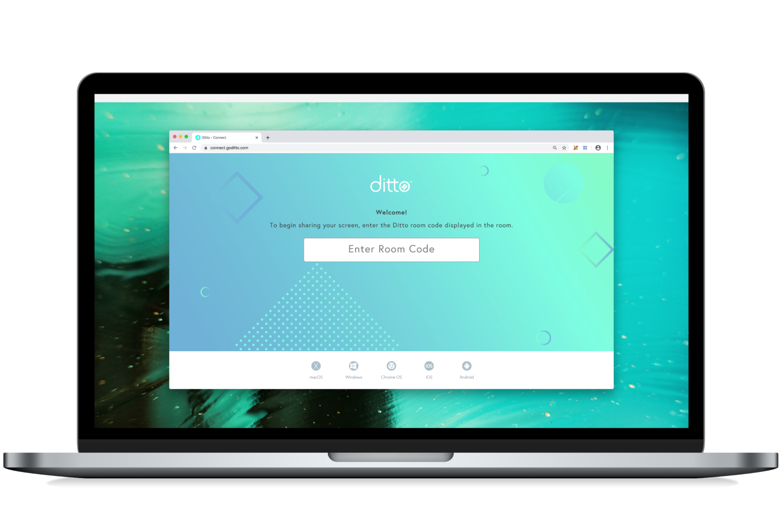 Screening Direct Ditto Screen Mirroring Australia | Digital Signage Direct
